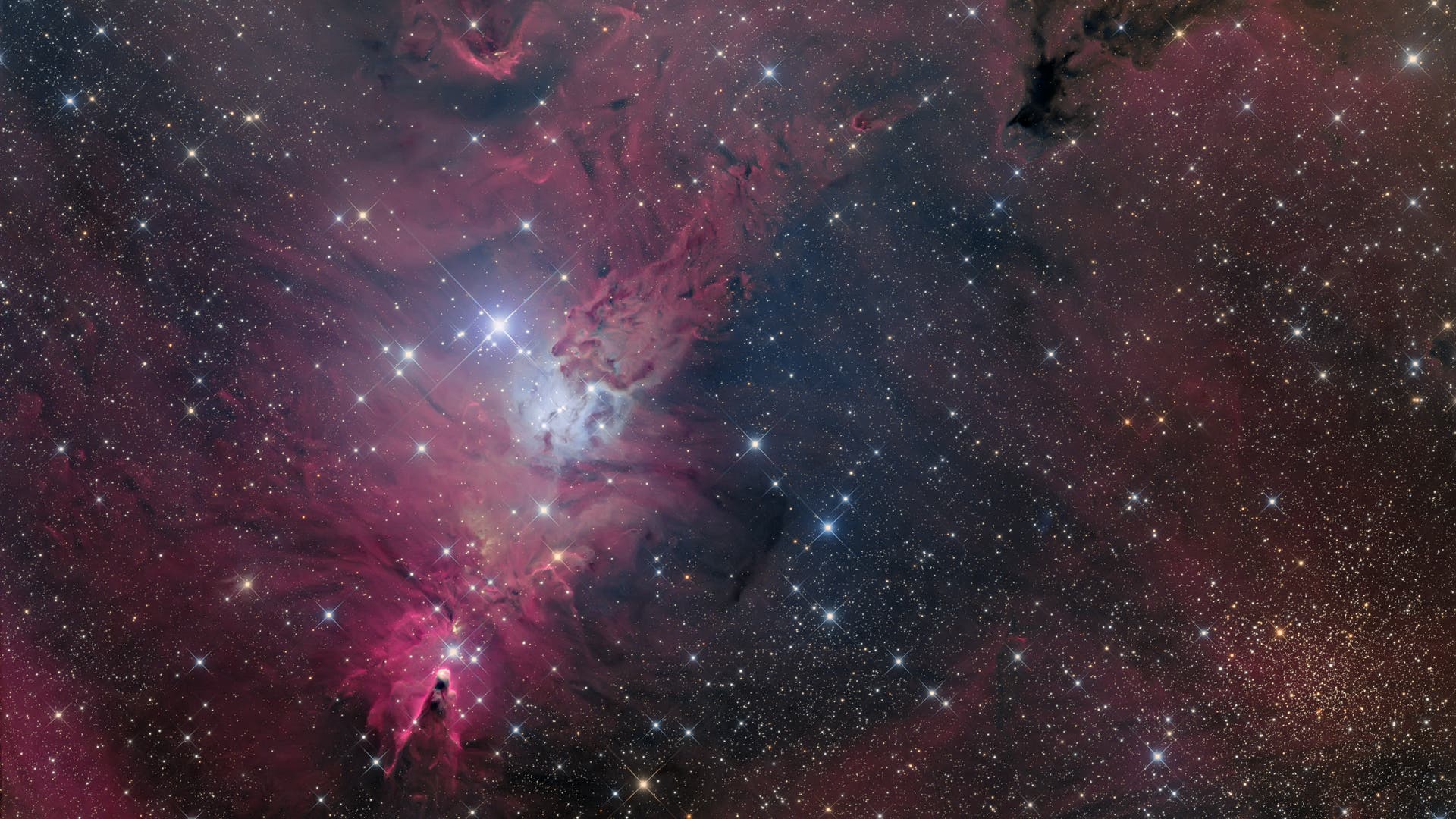 NGC 2264 Spektrum der Wissenschaft
